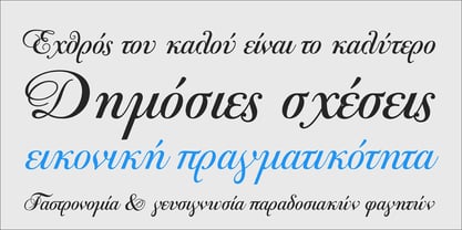 PF Bodoni Script Pro Font Poster 6