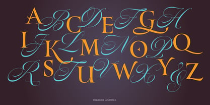 Turquoise Font Poster 9