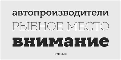 PF Bague Slab Pro Font Poster 9