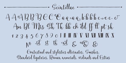 Scintillae Script Police Poster 2