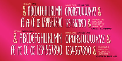 Credititle Font Poster 5