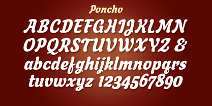 Poncho Font Poster 5