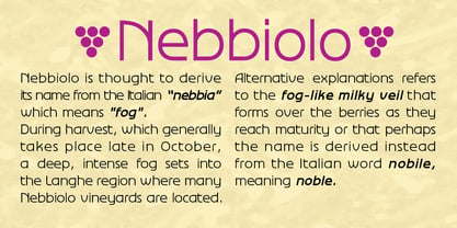 Nebbiolo Font Poster 4