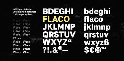 Flaco Font Poster 4