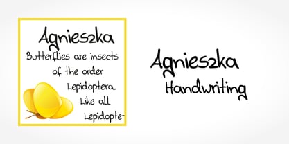 Agnieszka Handwriting Fuente Póster 5