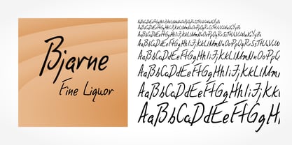 Bjarne Handwriting Fuente Póster 1