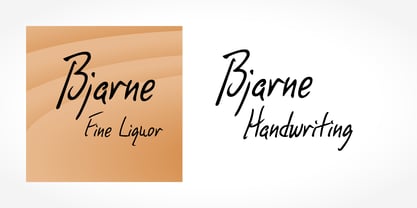 Bjarne Handwriting Fuente Póster 5