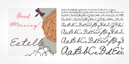 Estelle Handwriting Font Poster 1