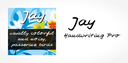 Jay Handwriting Pro Font Poster 5
