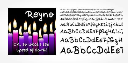 Reyno Handwriting Pro Font Poster 1