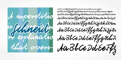 Schneid Handwriting Pro Font Poster 1