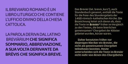 Brevier Font Poster 5