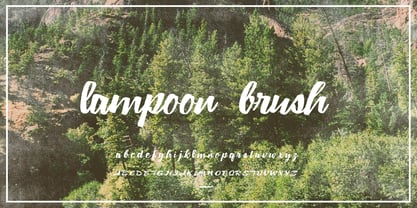 Lampoon Brush Font Poster 2
