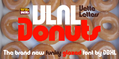 VLNL Donuts Fuente Póster 1