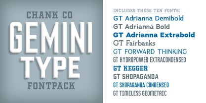 Gemini Type Fontpack Font Poster 13