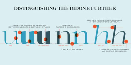 Lust Pro Didone Font Poster 9