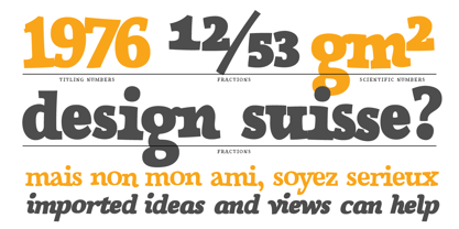 Siggy Font Poster 8