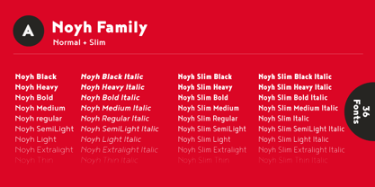 Noyh Font Poster 15