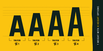 Tolyer Font Poster 3