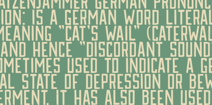 Katzenjammer Font Poster 3