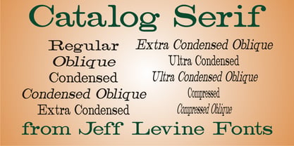 Catalog Serif  JNL Font Poster 1