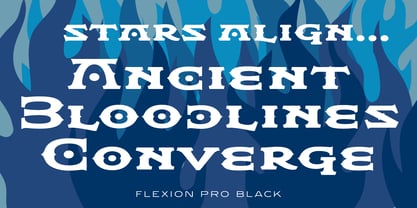 Flexion Pro Font Poster 5