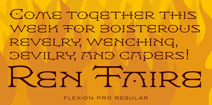 Flexion Pro Font Poster 3
