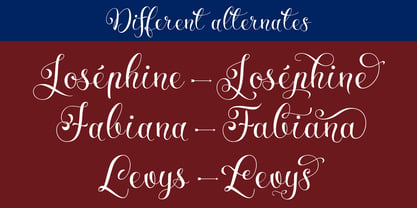 Parisi Font Poster 4