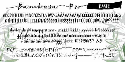 Bambusa Pro Font Poster 10