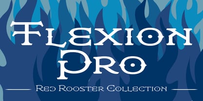 Flexion Pro Fuente Póster 1