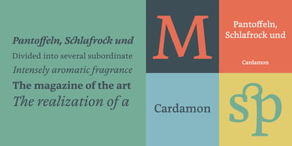 Cardamon Font Poster 1