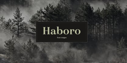 Haboro Police Poster 1