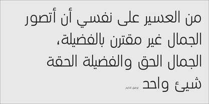 PF DIN Text Arabic Font Poster 8