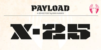 Payload Fuente Póster 6