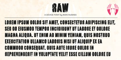 Raw Font Poster 3