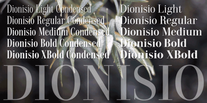 Dionisio Font Poster 2