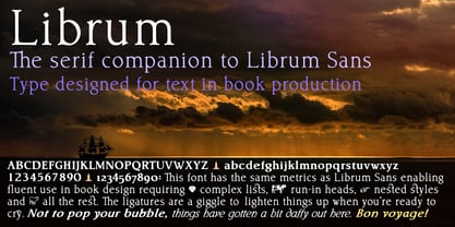 Librum Police Poster 1