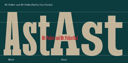 Mr Palker Dad Font Poster 10