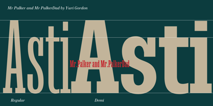 Mr Palker Dad Font Poster 8