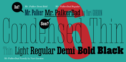 Mr Palker Dad Font Poster 1