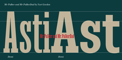 Mr Palker Dad Font Poster 9