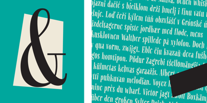 Revla Serif Font Poster 5