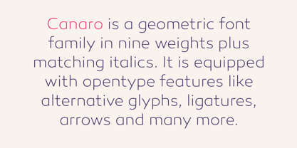 Canaro Font Poster 14