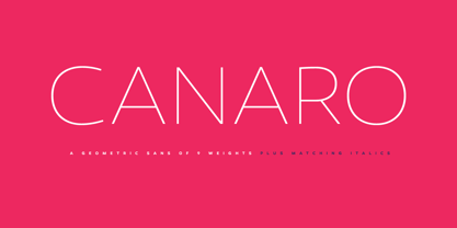 Canaro Font Poster 15