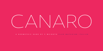 Canaro Font Poster 10