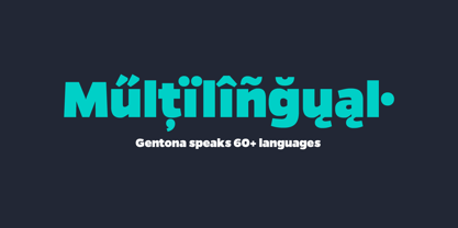 Gentona Font Poster 7