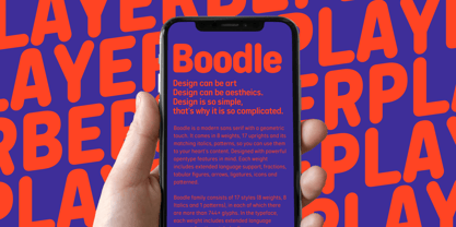 Boodle Police Poster 2