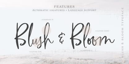 Blush And Bloom Font Poster 7
