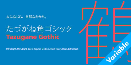 Tazugane Gothic Variable Font Poster 4