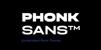 Phonk Sans Police Poster 1